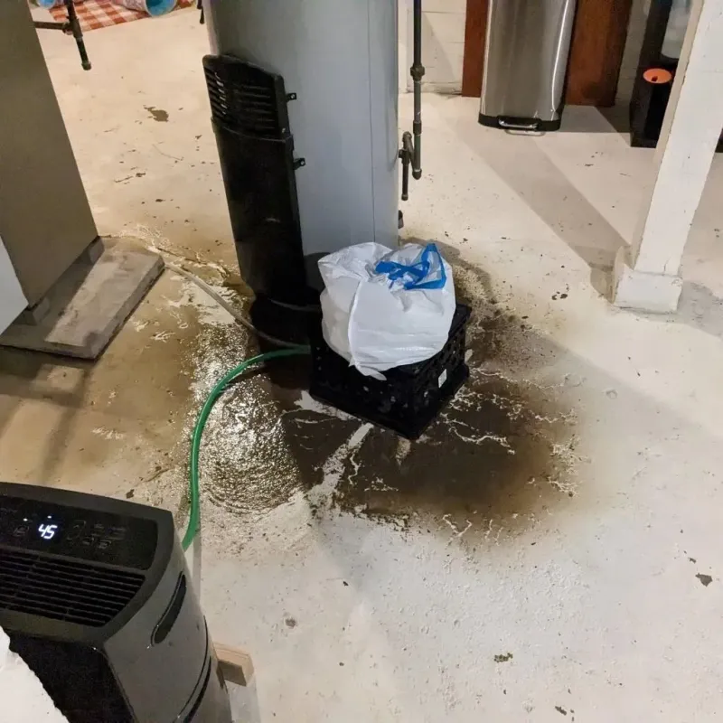 Sewage Backup Cleanup Service in Bynum, AL
